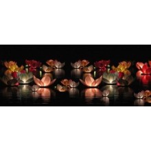 Плавающие цветы (диаметр 30 см)!